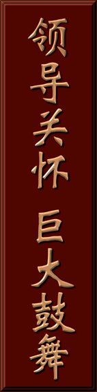 贝斯特全球最奢华(中国)有限公司